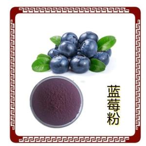 蓝莓果粉99% 蓝莓冻干粉 现货 蓝莓提取物 蓝莓果汁粉