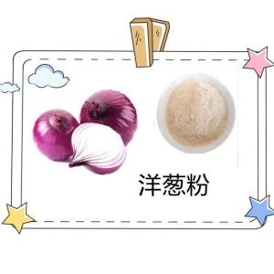 洋葱粉  10-1洋葱提取物  葱头 洋葱浸膏  厂家直销