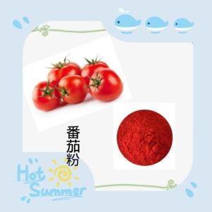 番茄粉 食品原料    六盘韵生物 水提喷雾干燥蔬菜粉