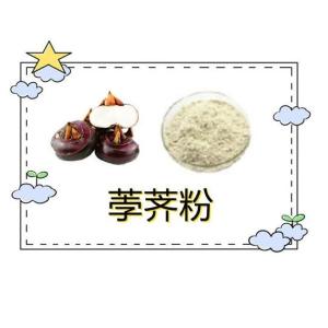 荸荠粉   水溶 荸荠提取物  马蹄粉 浓缩粉 马蹄提取物