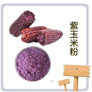 紫玉米粉 10-1 紫玉米提取物   六盘韵  药食同源产品 99% 水溶性好