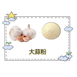 大蒜粉   水溶 大蒜提取物   大蒜浓缩粉