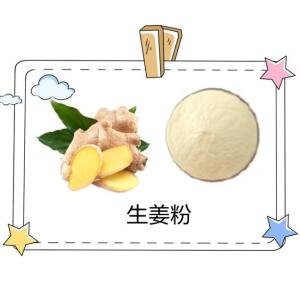 水溶性生姜粉 姜辣素1% 六盘韵  生物供应