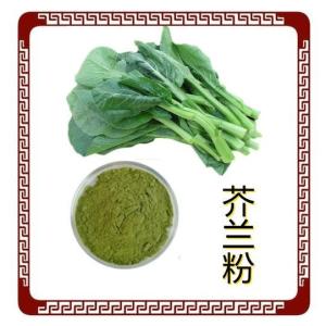 芥兰粉  芥兰提取物 芥蓝菜浸膏粉