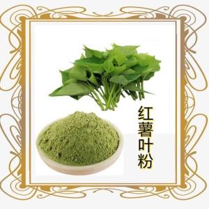 红薯叶粉 10:1 水溶 番薯叶粉 浓缩粉  红薯叶提取物