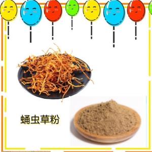 蛹虫草粉  食品级 蛹虫草多糖  资质齐全 蛹虫草提取物