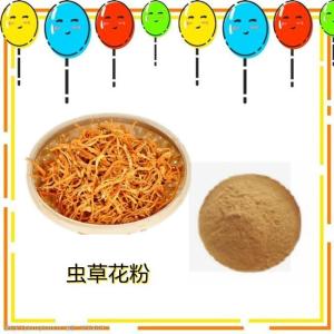 虫草花粉   水溶 虫草花提取物 虫草花浓缩粉