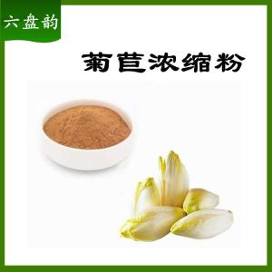 菊苣浓缩粉   六盘韵  菊苣粉  菊苣速溶粉