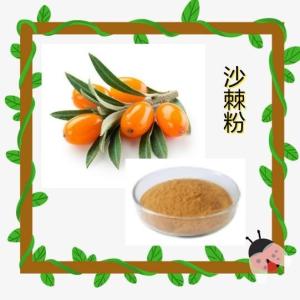 沙棘果粉99% 沙棘果提取物 六盘韵生物 沙棘肽/果粉
