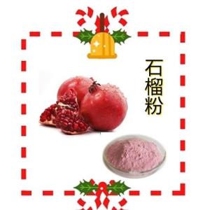 石榴果粉99% 量大优惠 现货 红石榴果粉 石榴提取物