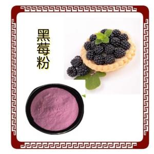 黑莓粉 水溶 黑莓提取物   黑莓浓缩粉 SC证 露莓粉