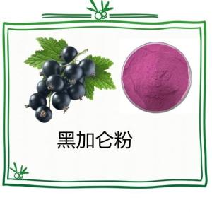 黑加仑粉 黑加仑汁粉 水溶 浸膏 厂家现货 量大从优