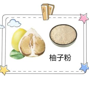 柚子果粉99% 柚子粉 六盘韵 生物 水溶西柚粉/提取物
