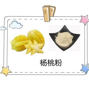 杨桃粉 杨桃速溶浓缩粉 杨桃果提取物 六盘韵   厂家直销 包邮
