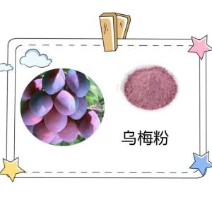 乌梅粉 乌梅提取物 植提厂家 现货包邮