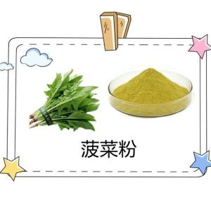 菠菜粉99% 水溶 菠菜提取物 菠菜汁粉 菠菜浓缩粉