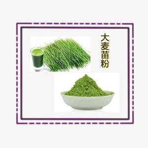 大麦苗粉    六盘韵  现货  大麦苗提取物