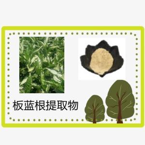 板蓝根提取物10：1 原料现货 量大优惠 皂甙 多糖 浸膏粉 板蓝根提取物