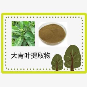 大青叶提取物 蓼大青叶粉 大青叶粉 厂家直营 包邮