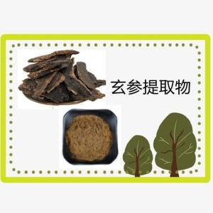 玄参提取物10 1比例 玄参甙 玄参萃取原料 玄参粉 水溶 现货