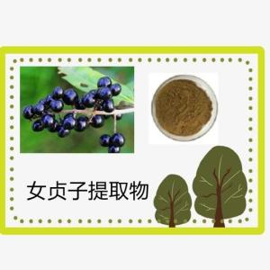 女贞子提取物 水溶 女贞子浓缩粉    六盘韵   冬青子提取物