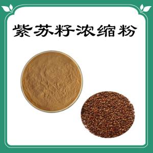 紫苏籽浓缩粉  喷雾干燥粉   六盘韵 规格齐全