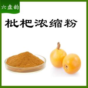 枇杷浓缩粉   六盘韵   源头供应  质量稳定
