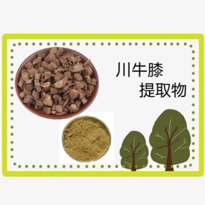 川牛膝提取物10：1 多糖 浸膏粉 高比例提取物