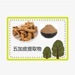 五加皮提取物10:1 浸膏粉 五谷皮/五加皮浓缩粉