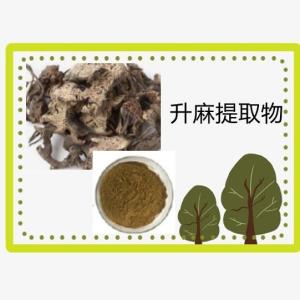 升麻提取物 升麻粉 品质稳定 规格10:1 浸膏粉