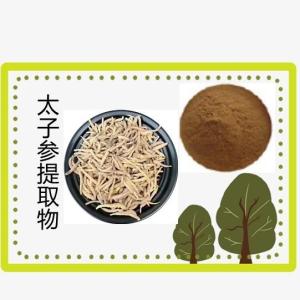 太子参提取物 水溶 太子参粉 太子参浓缩粉