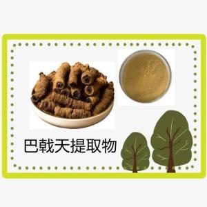 巴戟天提取物 水溶 巴戟天粉 巴戟天浓缩粉