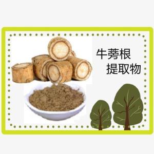 牛蒡子提取物 牛蒡浓缩 六盘韵生物 资质齐全 可定制