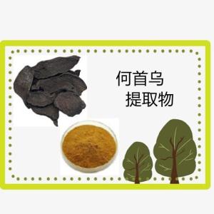 何首乌提取物 10:1 浸膏粉 现货 何首乌提取物