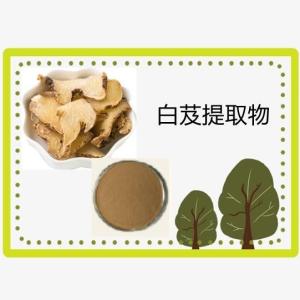白芨提取物10:1 白芨粉 白芨萃取物  原料工厂
