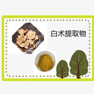 白术提取物30-1 白术粉 富含白术多糖 水溶性
