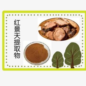 红景天提取物 红景天浓缩粉