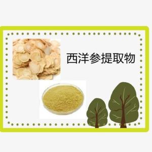 西洋参提取物   西洋参粉  六盘韵 生物 原料源头工厂