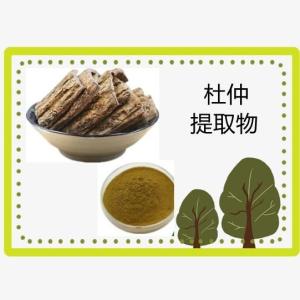 杜仲提取物 杜仲皮粉 速溶杜仲粉 资质齐全 厂家包邮