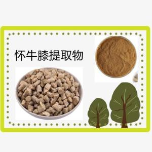 牛膝提取物10-1 牛膝多糖 怀牛膝提取物