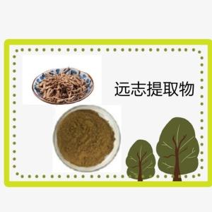 远志提取物10:1 量大优惠 原料现货    浸膏粉 远志提取物