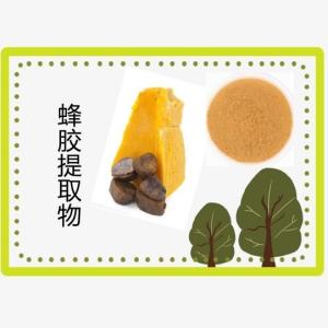 蜂胶提取物10-1蜂胶粉 速溶蜂胶浓缩浸膏  厂家直销