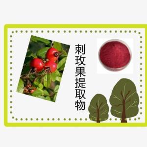 刺玫果提取物10:1 果粉 VC 野蔷薇提取物 刺玫果浓缩粉