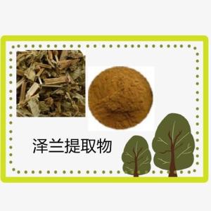 泽兰提取物 泽兰粉 10:1多规格 水溶 浸膏 厂家现货 量大从优