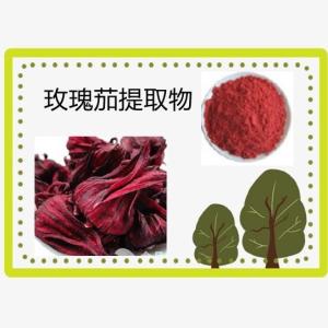 玫瑰茄提取物10-1 玫瑰茄花青素 神花提取物   厂家直销