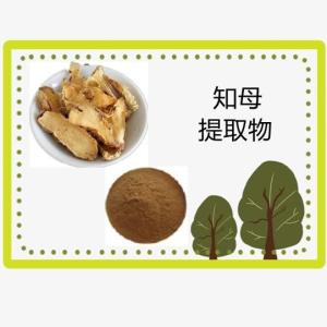 知母提取物10:1   浸膏粉 蚳母提取物