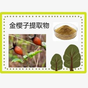 金樱子提取物 水溶金樱子粉