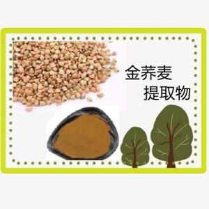金荞麦提取物10:1荞麦三七粉 荞麦提取物