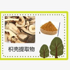 枳壳提取物10:1 枳壳水溶粉