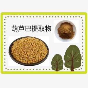 葫芦巴提取物10：1 葫芦巴碱 葫芦巴粉 葫芦巴皂甙